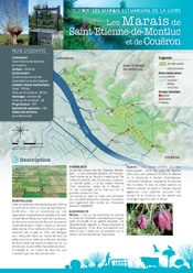 Cliquez pour télécharger la fiche " Les marais de St-Etienne/Couëron"
