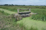 Vanne dans les prairies de Buzay